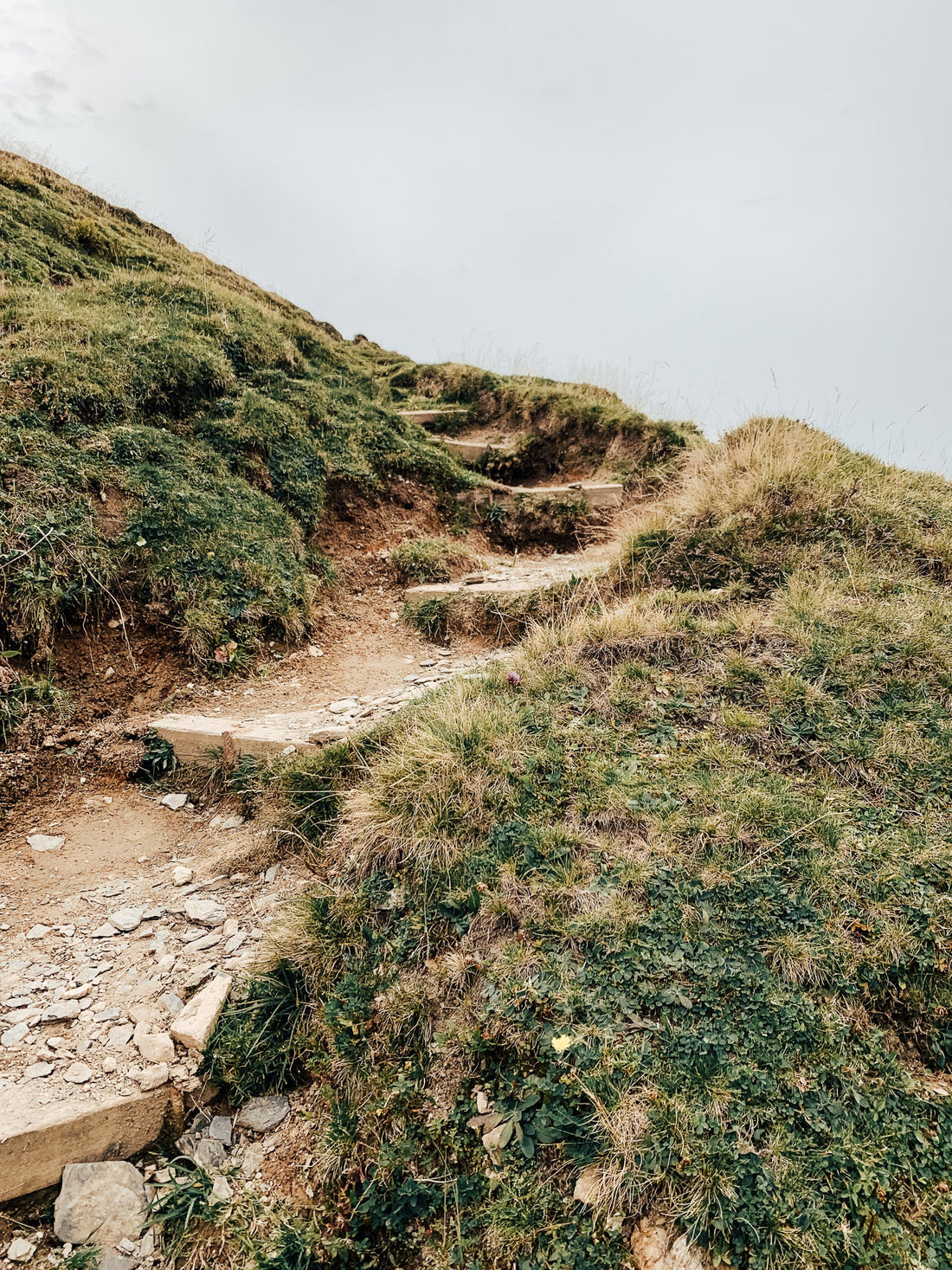 A Happy and More Sustainable 2025