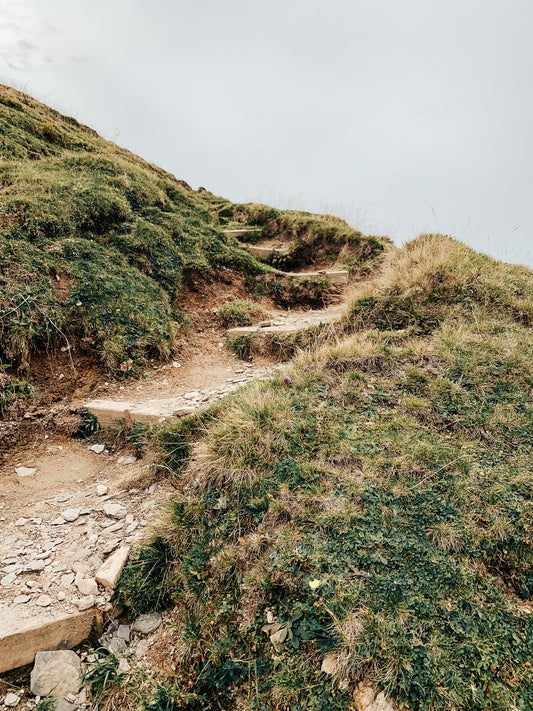 A Happy and More Sustainable 2025