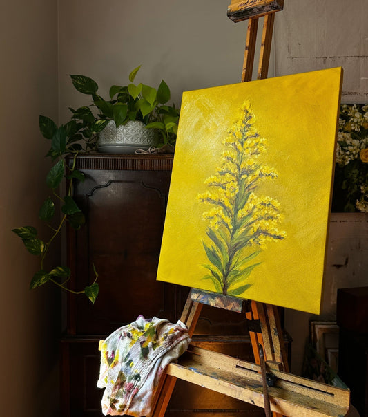 Plant Native Collection-An Update