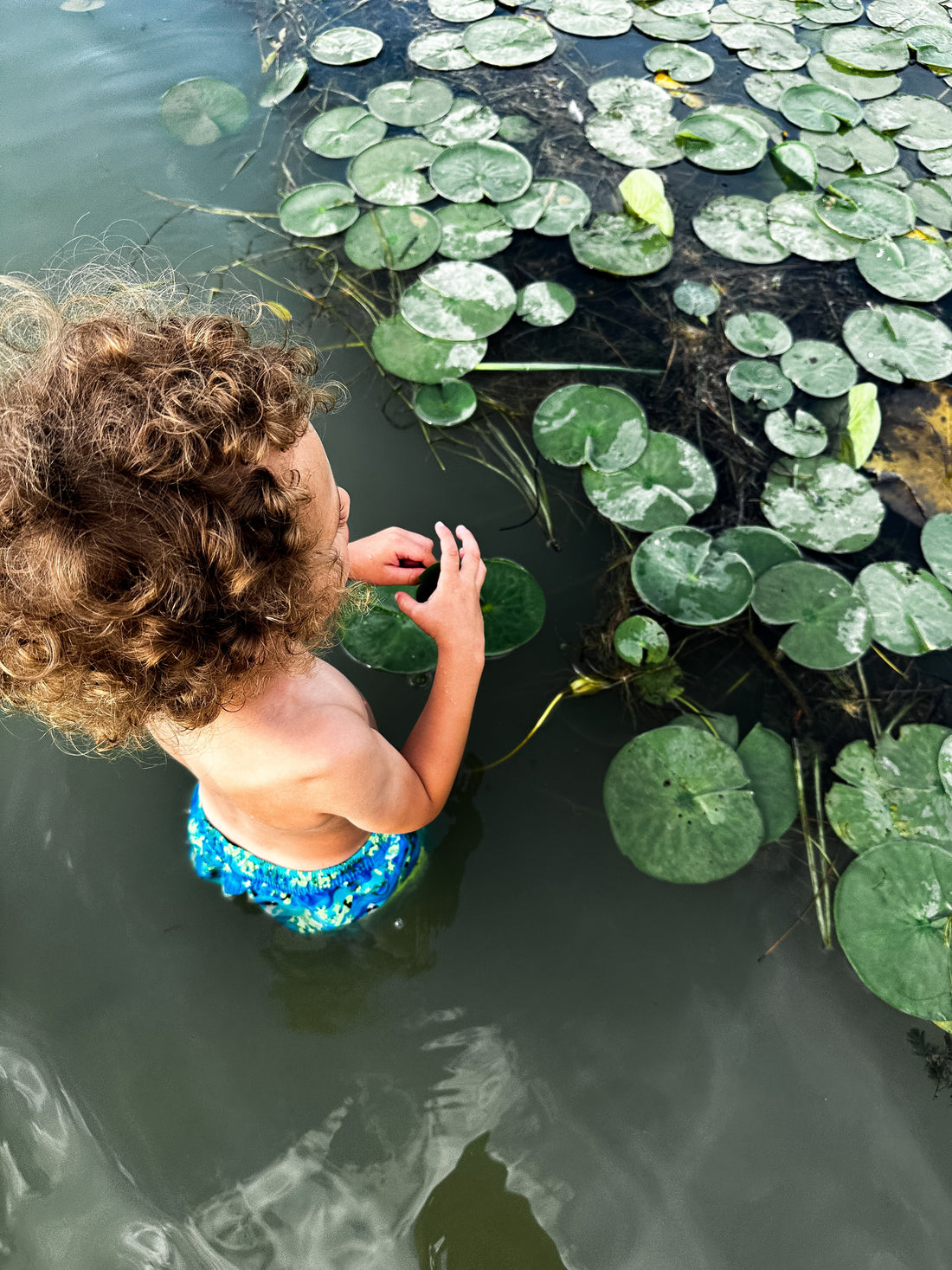 Yellow Creek State Park