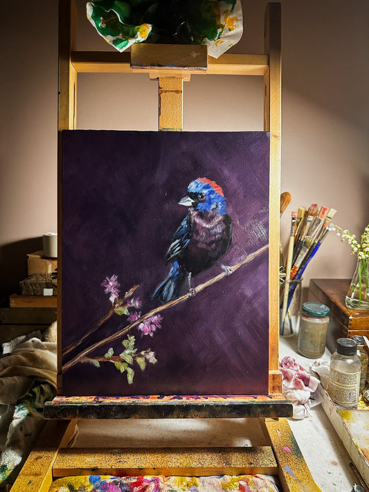 Introducing The Quiet Collection: A Journey Into Weekly Paintings