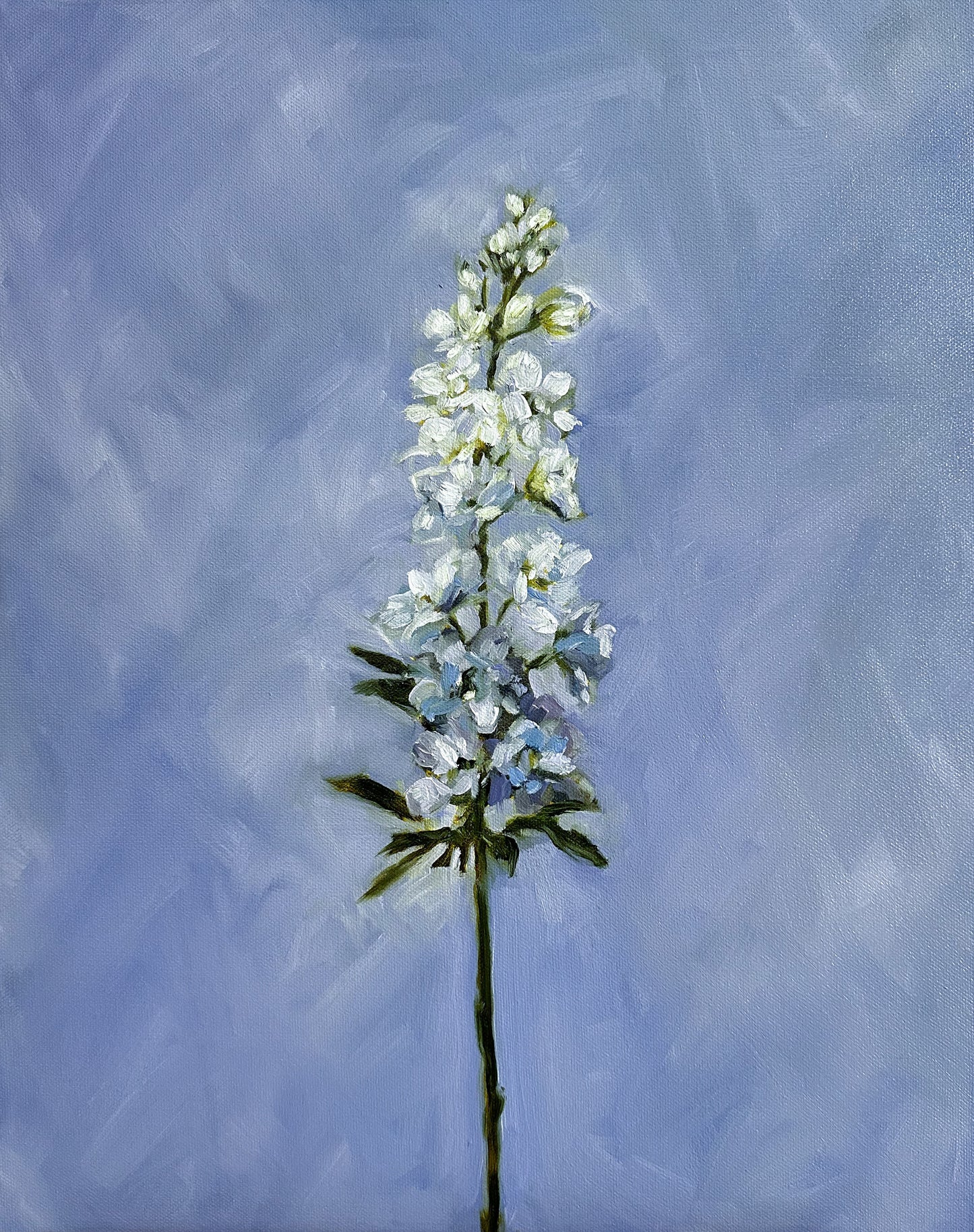 "Larkspur in Blue" 16X20