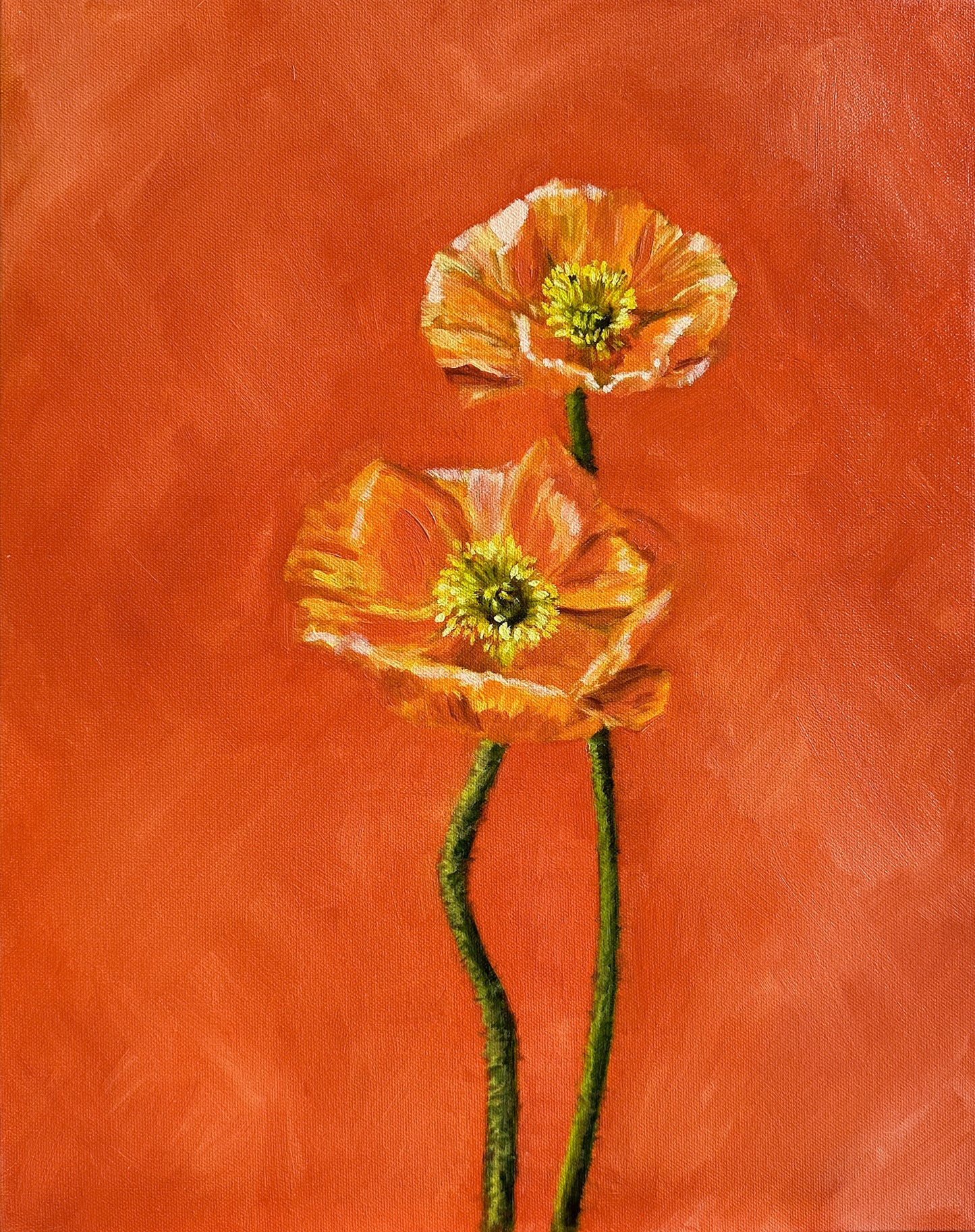 "Poppies in Orange" 16X20