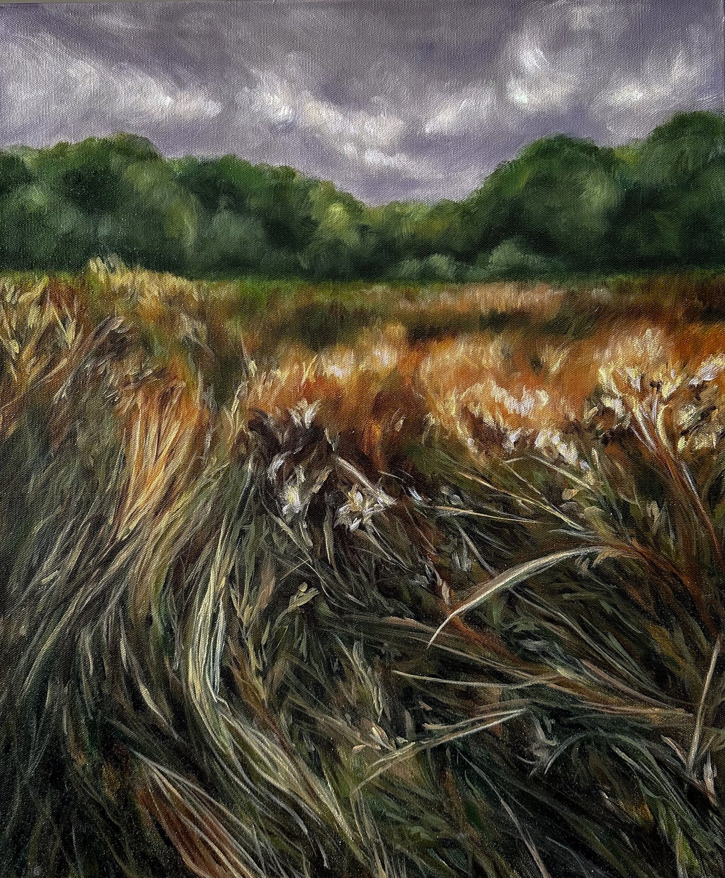 "Of Meadows and Memories " 20X24